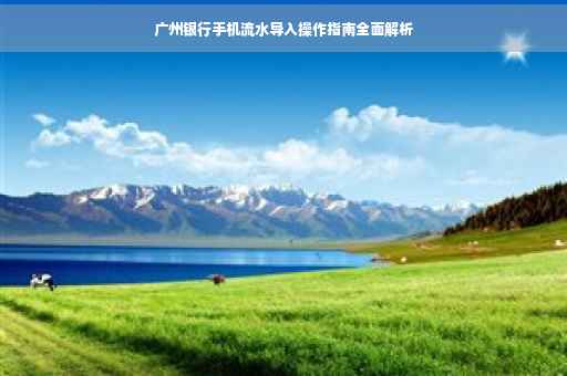 广州银行手机流水导入操作指南全面解析 广州银行手机流水导入操作指南全面解析