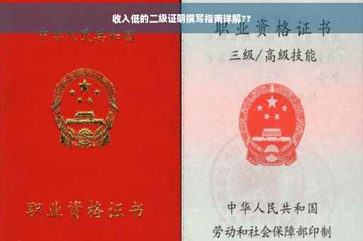 收入低的二级证明撰写指南详解??