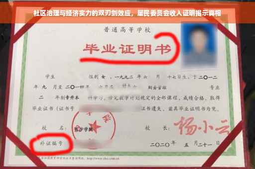 社区治理与经济实力的双刃剑效应，居民委员会收入证明揭示真相