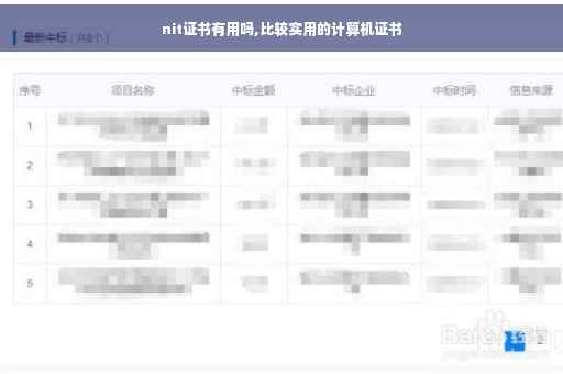 nit证书有用吗,比较实用的计算机证书