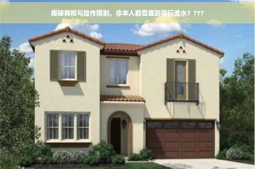 揭秘真相与操作限制，非本人能否查到银行流水？???