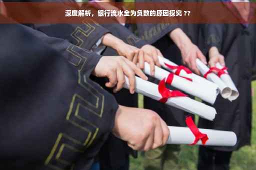 深度解析，银行流水全为负数的原因探究 ??