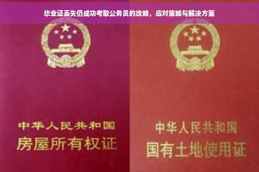 毕业证丢失仍成功考取公务员的攻略，应对策略与解决方案