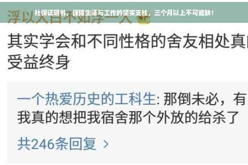 社保证明书，保障生活与工作的坚实支柱，三个月以上不可或缺！