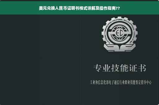 美元兑换人民币证明书格式详解及操作指南??