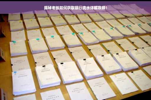 揭秘老板如何获取银行流水详解攻略！