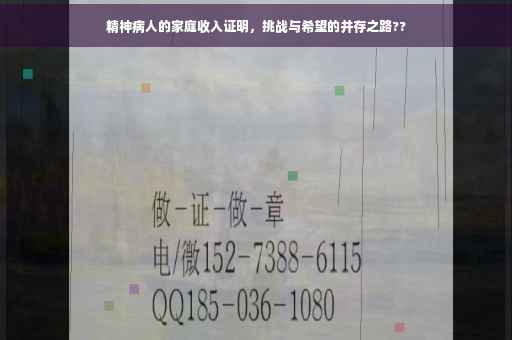 精神病人的家庭收入证明，挑战与希望的并存之路??