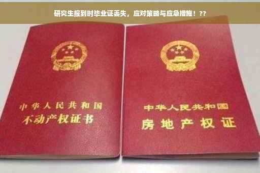 研究生报到时毕业证丢失，应对策略与应急措施！??