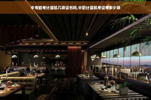 中专能考计算机几级证书吗,中职计算机考证考多少级