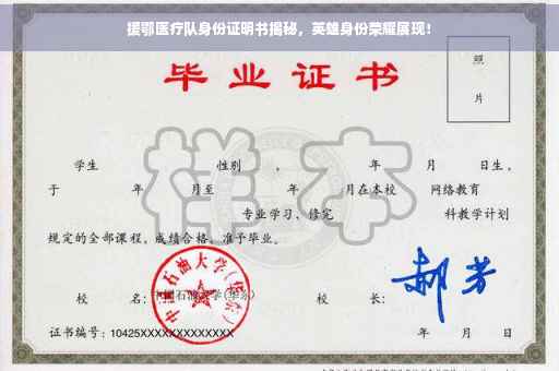 援鄂医疗队身份证明书揭秘，英雄身份荣耀展现！