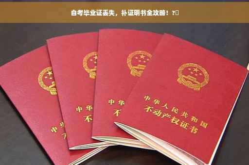 自考毕业证丢失，补证明书全攻略！?✨