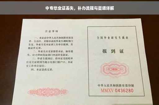 中专毕业证丢失，补办流程与渠道详解