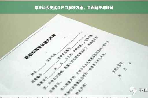 毕业证丢失武汉户口解决方案，全面解析与指导