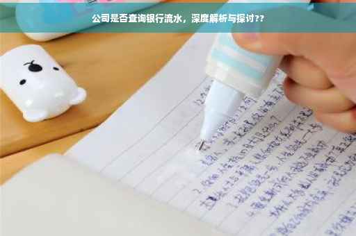 公司是否查询银行流水，深度解析与探讨??