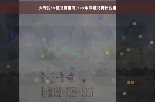 大专的1x证书有用吗,1+x中级证书有什么用 大专的1x证书有用吗,1+x中级证书有什么用