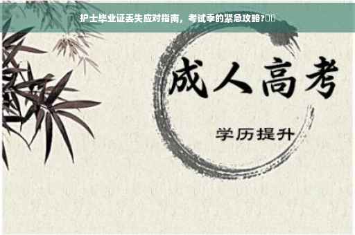 护士毕业证丢失应对指南，考试季的紧急攻略?⚡️