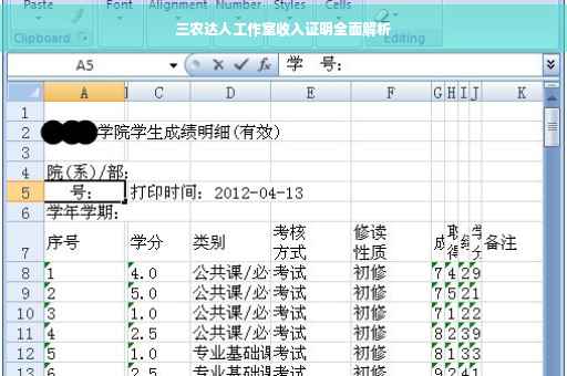 三农达人工作室收入证明全面解析