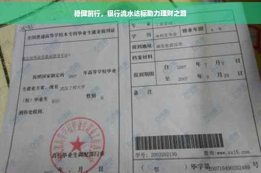 稳健前行，银行流水达标助力理财之路