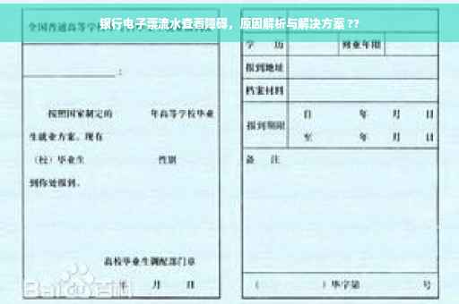 银行电子票流水查看障碍，原因解析与解决方案 ??