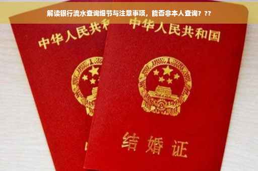 解读银行流水查询细节与注意事项，能否非本人查询？??