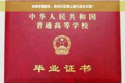 详细步骤解析，如何打印网上银行流水记录?