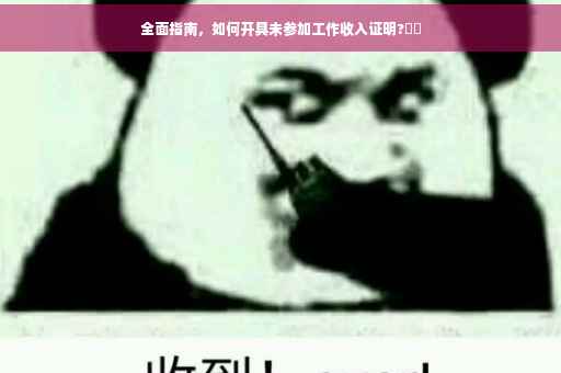 全面指南，如何开具未参加工作收入证明?⚡️