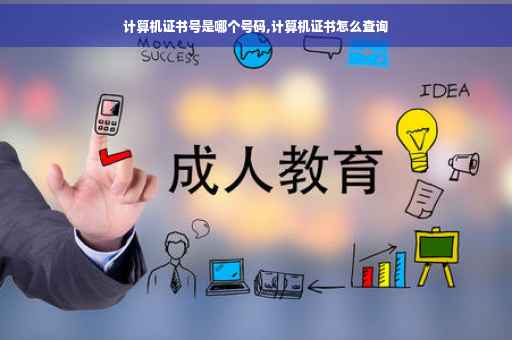 计算机证书号是哪个号码,计算机证书怎么查询
