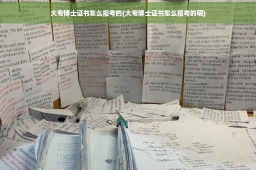 大专博士证书怎么报考的(大专博士证书怎么报考的呢)