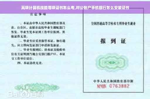 高级计算机技能等级证书怎么考,对公帐户手机银行怎么安装证书