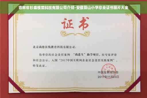 吉林省杉盛模塑科技有限公司介绍-安徽蔚山小学毕业证书图片大全