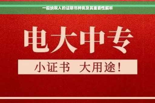 一般纳税人的证明书种类及其重要性解析