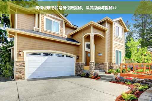 病情证明书的号码位数揭秘，深度探索与揭秘??
