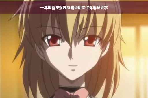 一年级新生报名所需证明文件详解及要求