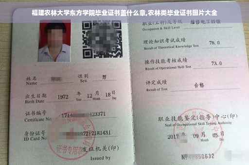福建农林大学东方学院毕业证书盖什么章,农林类毕业证书图片大全