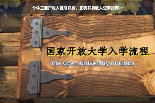 个体工商户收入证明详解，正确开具收入证明指南??