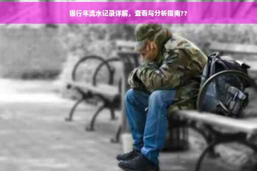 银行年流水记录详解，查看与分析指南??