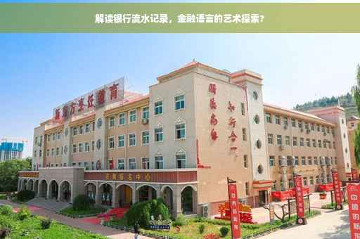 解读银行流水记录，金融语言的艺术探索?