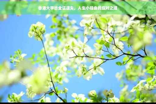 香港大学毕业证遗失，人生小插曲的应对之道