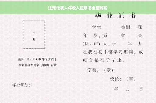 法定代表人年收入证明书全面解析