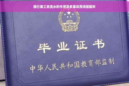 银行查工资流水的作用及多重应用场景解析