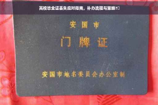 高校毕业证丢失应对指南，补办流程与策略?✨