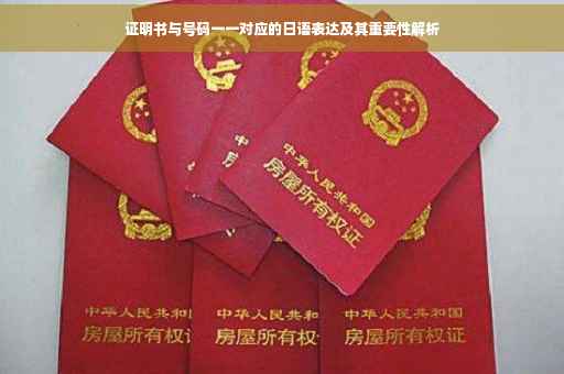 证明书与号码一一对应的日语表达及其重要性解析