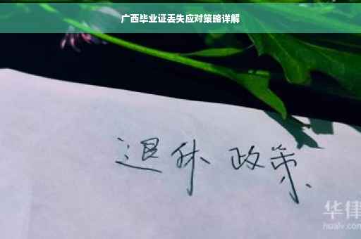 广西毕业证丢失应对策略详解