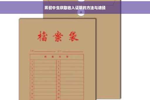 男初中生获取收入证明的方法与途径