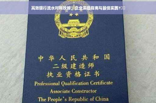 高效银行流水对账攻略，企业实操指南与最佳实践?⚡️