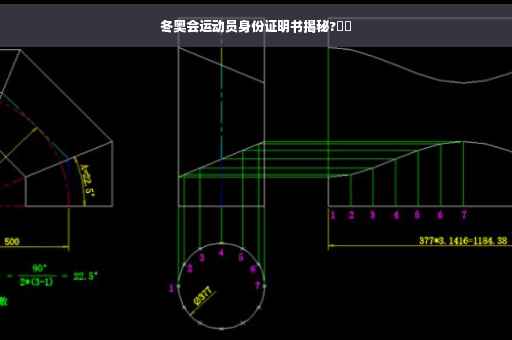 冬奥会运动员身份证明书揭秘?⚡️