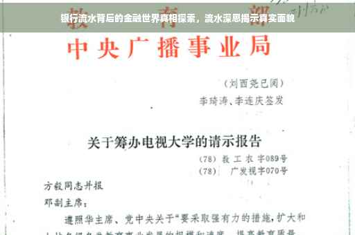 银行流水背后的金融世界真相探索，流水深思揭示真实面貌