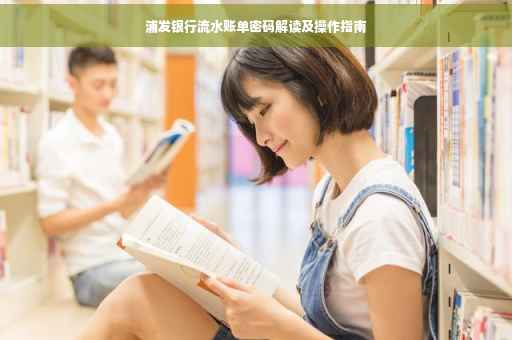 浦发银行流水账单密码解读及操作指南
