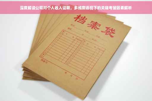 深度解读公司对个人收入证明，多维度透视下的关键考量因素解析