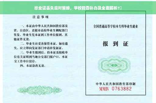 毕业证丢失应对策略，学校能否补办及全面解析?✨